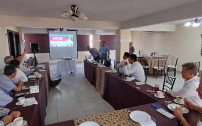 Reunión Técnica del Colegio de Arquitectos con el CEIEG